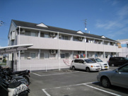 トレンディ21の画像