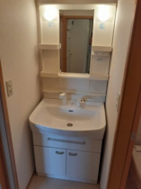 忙しい朝には欠かせない洗面所です