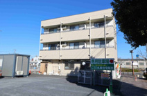 グランドコスモスの画像