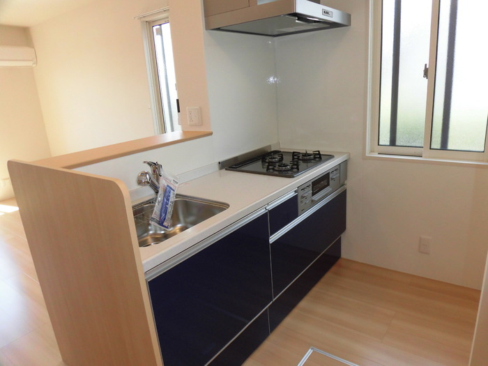 ラ・ヴェスタⅡのキッチン|110 IHコンロ付きキッチン