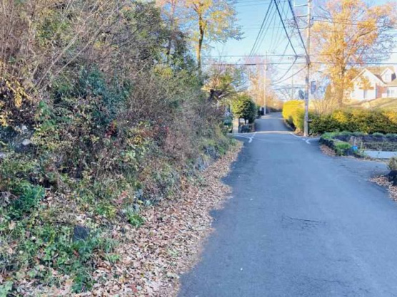 【前面道路含む現地写真】 | 伊東市八幡野　売地