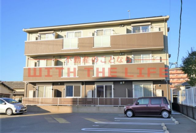 プランドール【キャッシュバック対象】