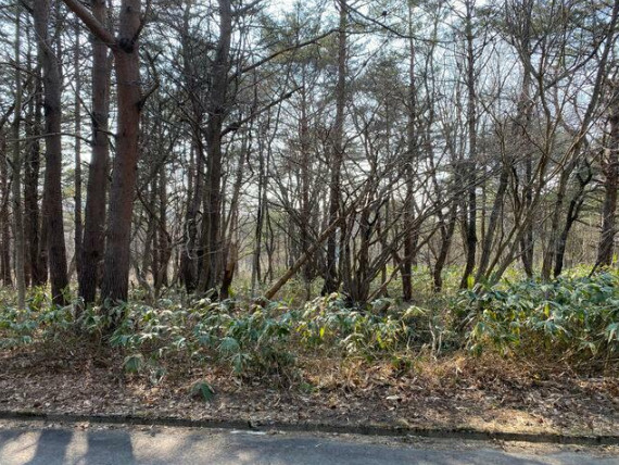 天栄村別荘地の外観