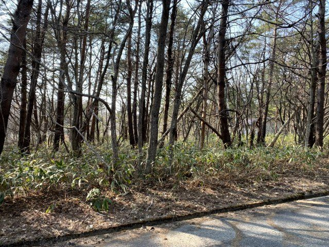 天栄村別荘地のその他
