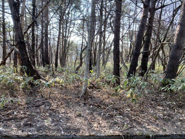 天栄村別荘地の外観