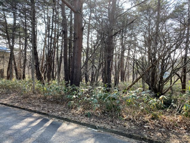 天栄村別荘地の外観