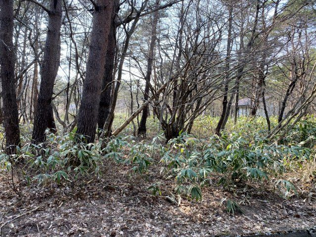 天栄村別荘地の周辺