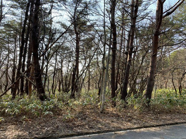 天栄村別荘地の外観