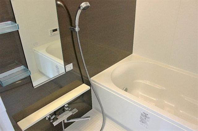 メゾン・ド・パニールの浴室