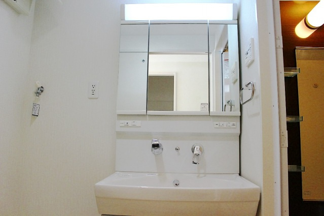 メゾン・ド・パニールの洗面所