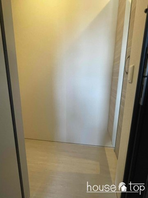 【その他】 | ウエストポトス