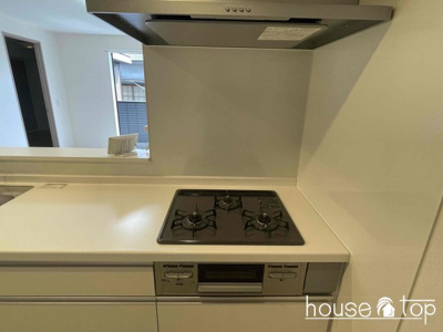 【その他】 | ウエストポトス