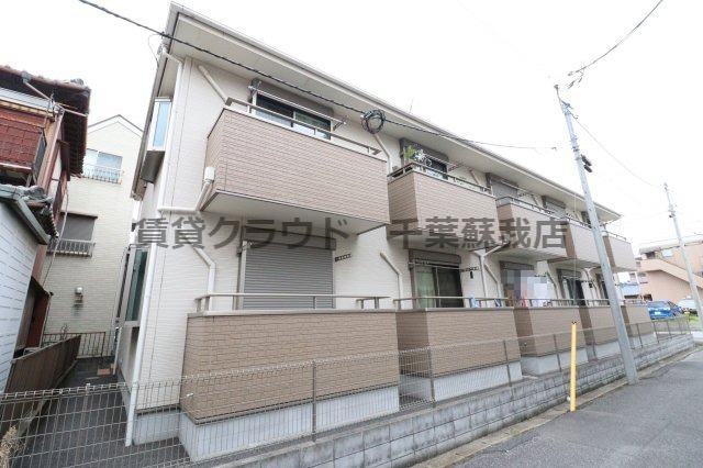 サウス　コサージュ