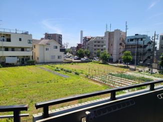 【展望】