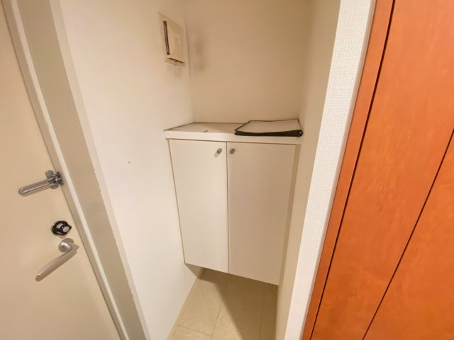 エムス金剛Ⅱの収納