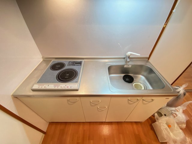 エムス金剛Ⅱのキッチン