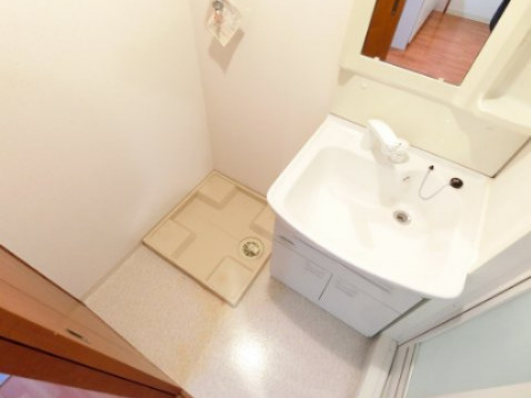 エムス金剛Ⅱの洗面所