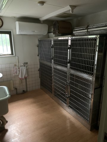 ケーナインヒルズ  のその他