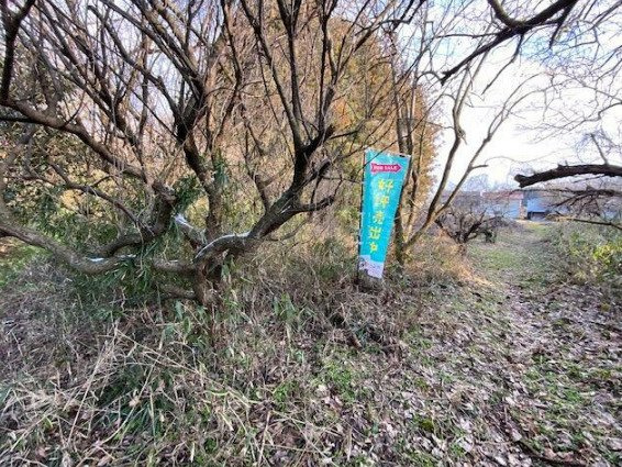 大玉村　畑用地　③