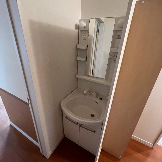 ハイム琉の洗面所