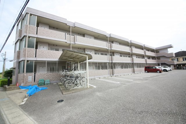 プラネットDのその他