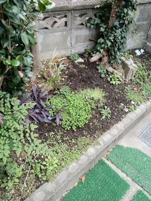 【庭】 | 赤大路大磯貸家２