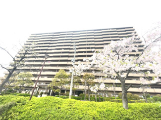 【外観】 | 駅からほど近い便利なエリアに佇む重厚感ある大型のマンションです。春には桜並木が敷地周辺や隣接公園に咲き、とても風情がある風景が広がります。