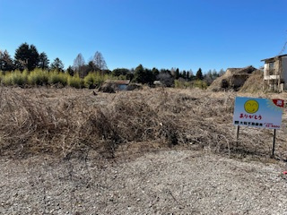 壬生町壬生丁の土地図