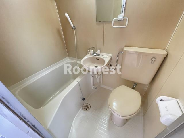 ヴィレッジカリアⅣのトイレ|トイレです