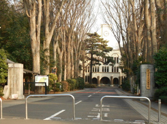 大学