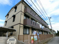 コンチェルト3の画像