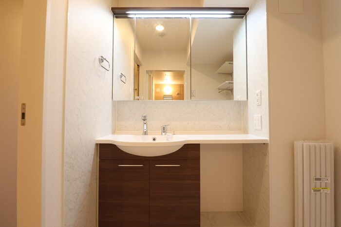 アベニール大倉山の洗面所