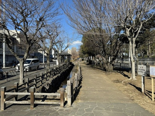 曳舟川親水公園まで180m