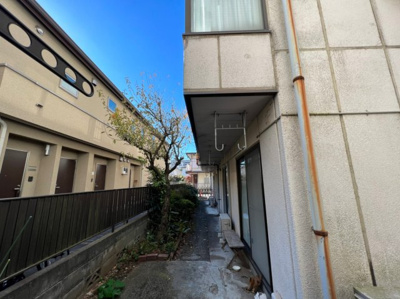 【展望】 | viola mitaka