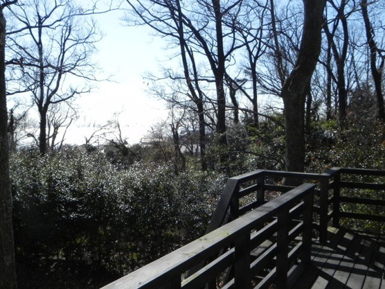 【展望】 | 大室高原別荘地　戸建