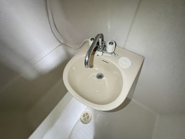 ルミエールUOZAKIの洗面所