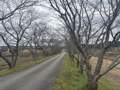 【周辺】 | 兵庫県丹波篠山市西岡屋