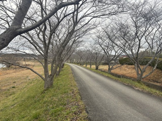 【周辺】 | 兵庫県丹波篠山市西岡屋