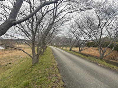 【周辺】 | 兵庫県丹波篠山市西岡屋