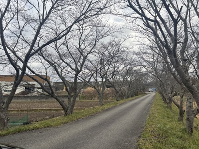 【周辺】 | 兵庫県丹波篠山市西岡屋