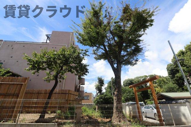 リブリ・八幡の展望