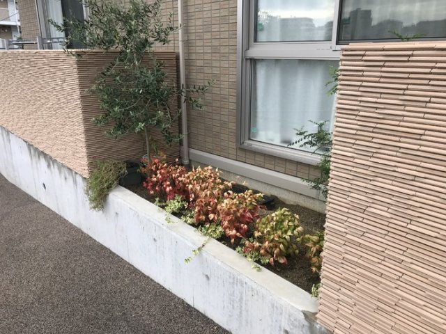 PastoralCourtSenriの周辺