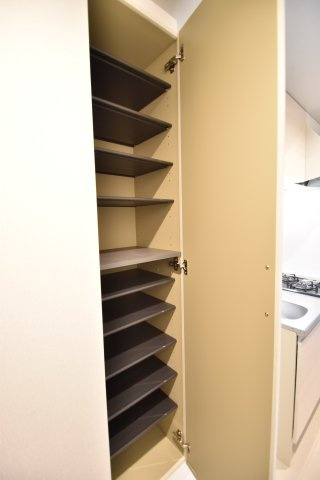 大阪市都島区片町２丁目の賃貸マンションの玄関