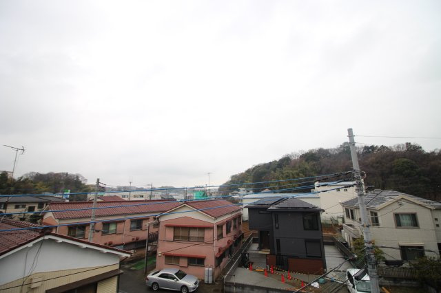 Blue Lotusの展望