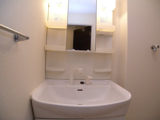 ディアコート白水の洗面所