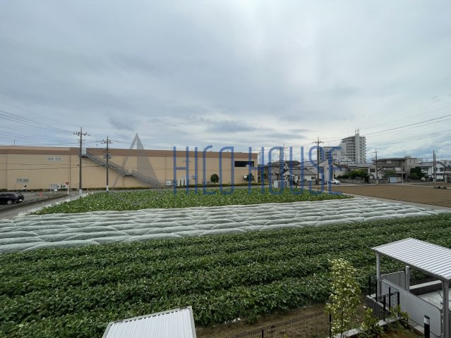 グランの展望