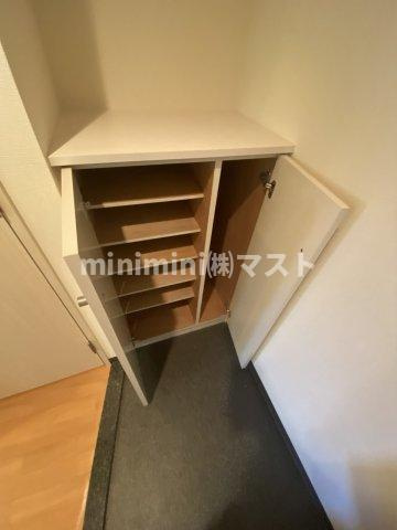 シーラビフォリアの収納