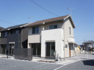 オピュロンスの画像