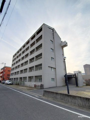 ドミトリオ仁王田　仲介手数料無料