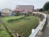 徳泉川内町売地の画像